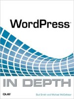 que wordpress in depth