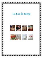 Lọ hoa ấn tượng pot