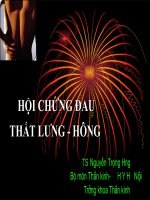 Đau thắt lưng hông ppt