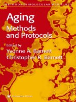 aging methods and protocols