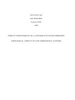 topological aspects of low-dimensional systems