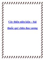 Cây thiên niên kiện – bài thuốc quý chữa đau xương pptx