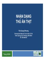 Nhận dạng thú ăn thịt ppt