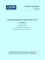Cơ cấu dân số và tăng trưởng kinh tế ở việt nam (tiếng anh)