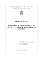 nghiên cứu quy trình công nghệ sản xuất tương bắc bằng chế phẩm enzyme