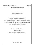 Nghiên cứu gen Pres, gen X của virut viêm gan B trong mô, huyết thanh và một số dấu ấn huyết thanh ở bệnh nhân ung thư biểu mô tế bào gan