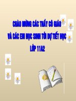 Bài giảng điện tử Chí Phèo của Nam Cao