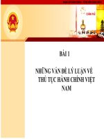Những vấn đề về lý luận thủ tục hành chính VN