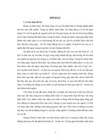 NGHIÊN CỨU BIẾN ĐỘNG THẢM THỰC VẬT RỪNG TỈNH QUẢNG NINH GIAI ĐOẠN 2000 - 2010  LUẬN VĂN THẠC SĨ KHOA HỌC ĐỊA LÝ