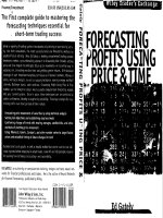 Forecasting profits using price & time (1998)