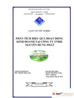 phân tích hiệu quả hoạt động kinh doanh tại công ty trách nhiệm hữu hạn nguyên hưng phát