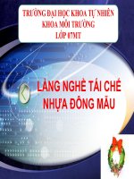 làng nghề tái chế nhựa đông mẫu
