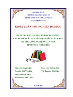 Đánh giá hiệu quả dự án đầu tư Trồng và chế biên cây nguyên liệu giấy tại khu công nghiệp  chân mây tỉnh thừa thiên huế