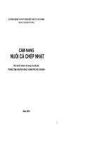 Cẩm nang nuôi cá chép nhật