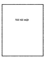 Sỏi túi mật docx