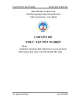 MỞ RỘNG tín DỤNG đối với DNV&N tại NGÂN HÀNG TMCP HÀNG hải VIỆT NAM CHI NHÁNH PHÚ THỌ