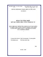 hoàn thiện quy trình công nghệ sản xuất hạt giống và thâm canh cà chua c155, dưa chuột lai pc4 phục vụ tiêu dùng trong nước và chế biến xuất khẩu.