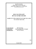 Nghiên cứu công nghệ sản xuất bột giấy APMO từ cây đay việt nam (kency)