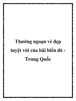 Thưởng ngoạn vẻ đẹp tuyệt vời của bãi biển đỏ Trung Quốc docx