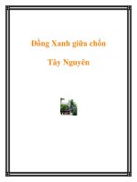 Đồng Xanh giữa chốn Tây Nguyên ppt