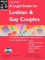 a legal guide for lesbian and gay couples 11th (2002)