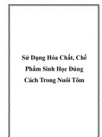 Sử Dụng Hóa Chất, Chế Phẩm Sinh Học Đúng Cách Trong Nuôi Tôm docx