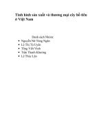 tình hình sản xuất và thương mại cây hồ tiêu ở việt nam