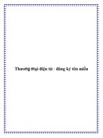 Thương mại điện tử : đăng ký tên miền potx
