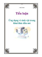Tiểu luận Ứng dụng vi sinh vật trong khai thác dầu mỏ