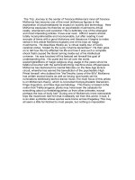 the trip journey to the center of terence mckennas inner el