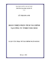 hoàn thiện phân tích tài chính tại công ty tnhh tâm châu