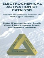 electrochemical activation of catalysis 2002 - vayenas, bebelis, pliangos, brosda & tsiplakides