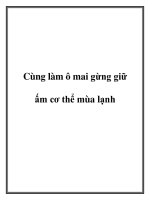 Cùng làm ô mai gừng giữ ấm cơ thể mùa lạnh. docx