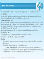 Giáo trình CSS cơ bản