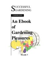 successful gardening