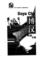 boya chinese advanced hover ii