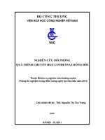 Nghiên cứu mô phỏng quá trình chuyển hóa condensate rồng đôi