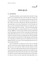 Hướng dẫn sử dụng phần mềm ETABS V9.50