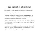 Các loại sinh tố gây nổi mụn potx