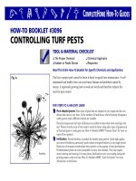 controlling turf pests
