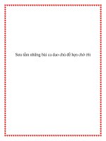 Ca dao dân ca chủ đề tình yêu đôi lứa pot