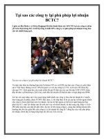 Tại sao các công ty lại phù phép lợi nhuận BCTC? docx