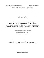 Tính dao động của tấm composite lớp có gia cường