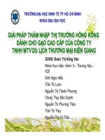 tiểu luận giải pháp thâm nhập thị trường hồng kông dành cho gạo cao cấp của công ty tnhh mtv du lịch thương mại kiên giang