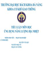 TIỂU LUẬN MÔN HỌC ỨNG DỤNG NĂNG LƯỢNG ĐỊA NHIỆT