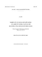 Nghiên cứu tác dụng giúp liền xương của ghép tuỷ xương vào ổ gãy hở hai xương cẳng chân đã bất động ngoài
