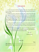 thực trạng công tác kế toán thuế  giá trị gia tăng tại công ty cổ phần dược trung ương merdipharco tenamyd