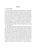 Hình học các tập tới hạn đối với các hằng số Jung trong không gian Banach