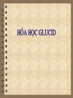 Hóa học Glucid pot