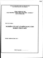 Đề tài : Nghiên cứu xử lý biên dạng cho robot phun sơn